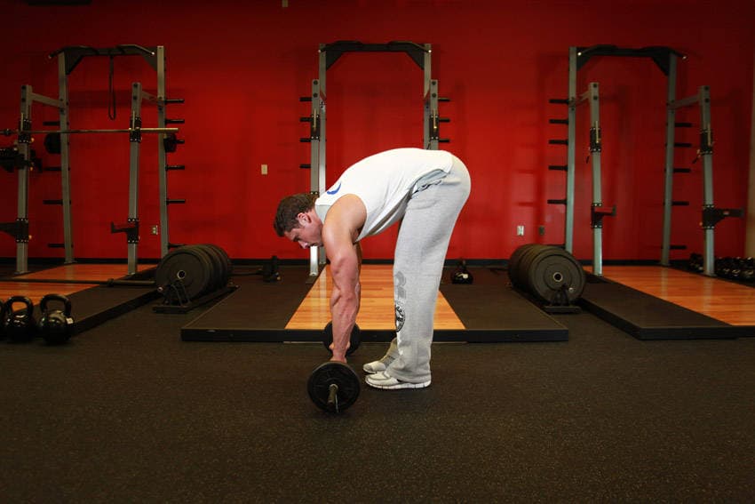 Ab Wheel Rollout starting position