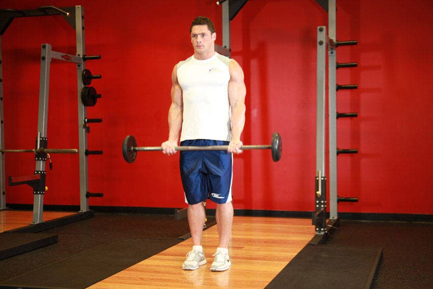 Barbell Curl starting position