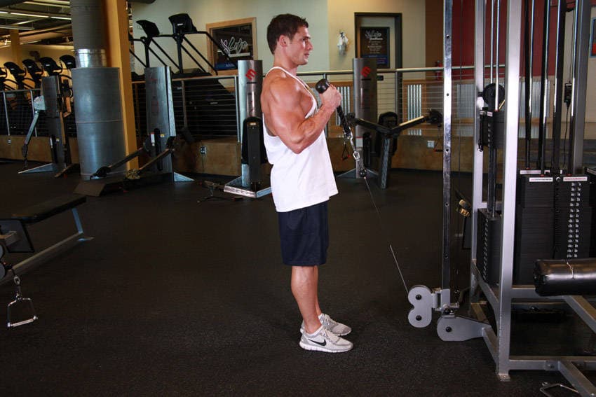 Cable Curl finishing position