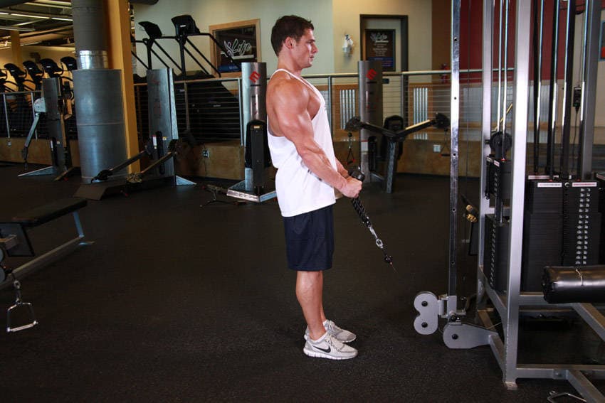 Cable Curl starting position