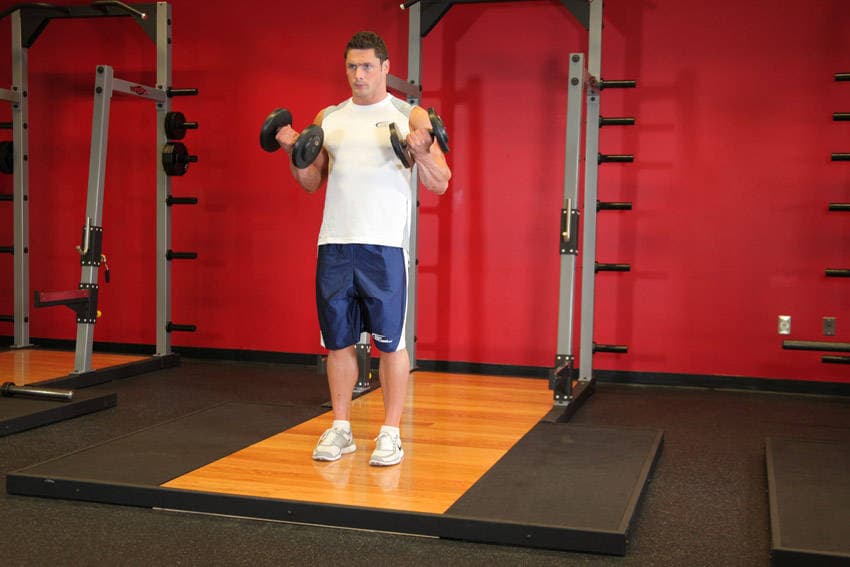 Dumbbell Curl finishing position