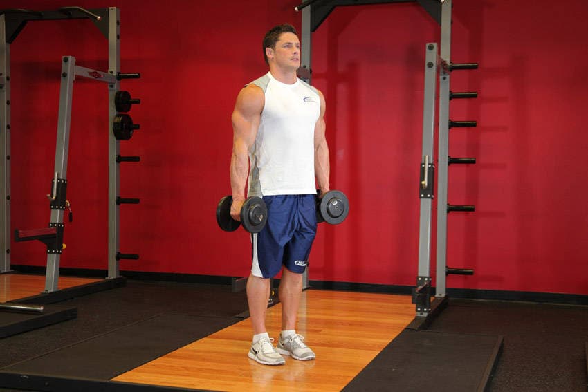 Hammer Curl starting position