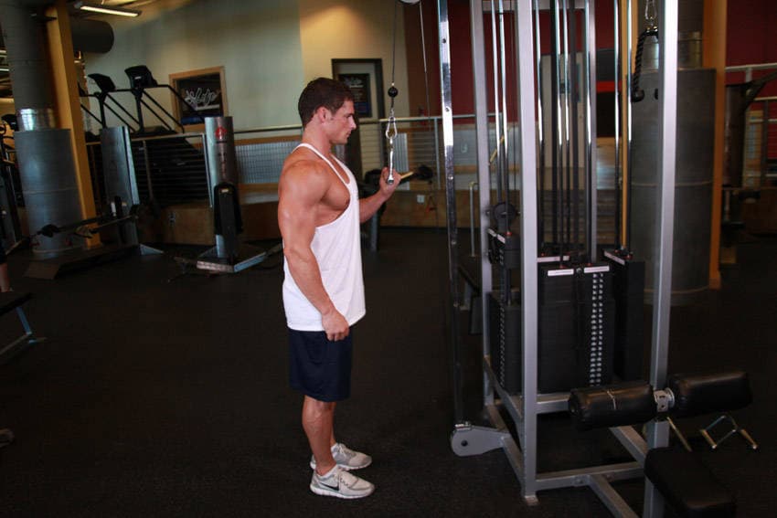 Single-Arm Pressdown finishing position
