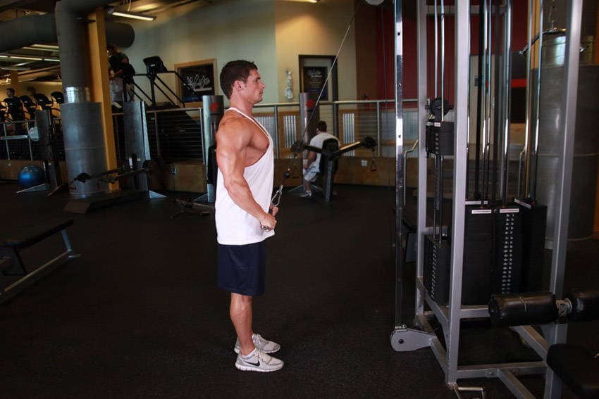 Straight-Arm Cable Pulldown finishing position