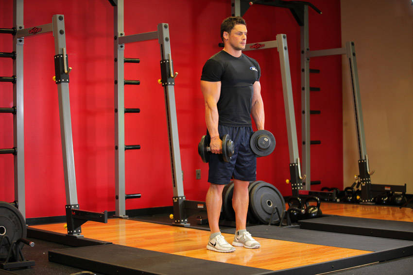 Dumbbell Romanian Deadlift starting position